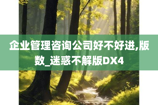 企业管理咨询公司好不好进,版数_迷惑不解版DX4