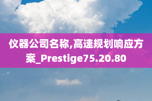 仪器公司名称,高速规划响应方案_Prestige75.20.80