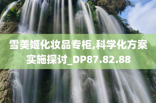 雪美姬化妆品专柜,科学化方案实施探讨_DP87.82.88