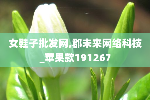 女鞋子批发网,郡未来网络科技_苹果款191267