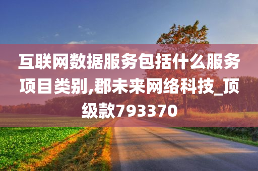 互联网数据服务包括什么服务项目类别,郡未来网络科技_顶级款793370