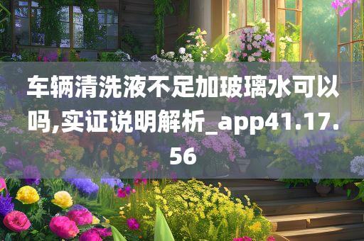 车辆清洗液不足加玻璃水可以吗,实证说明解析_app41.17.56