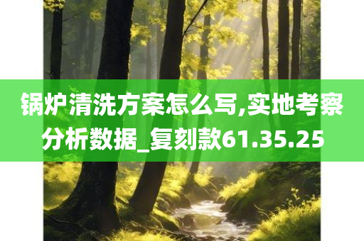 锅炉清洗方案怎么写,实地考察分析数据_复刻款61.35.25