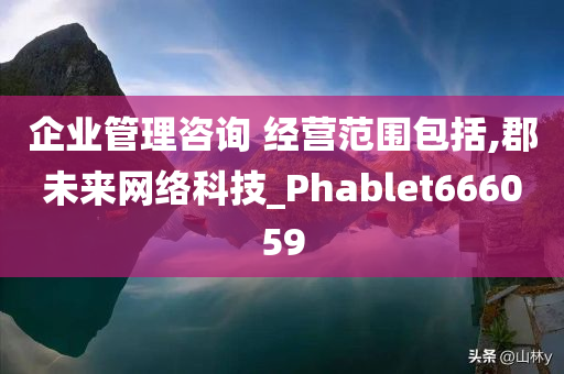 企业管理咨询 经营范围包括,郡未来网络科技_Phablet666059