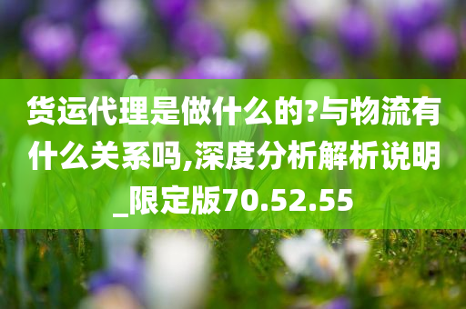 货运代理是做什么的?与物流有什么关系吗,深度分析解析说明_限定版70.52.55