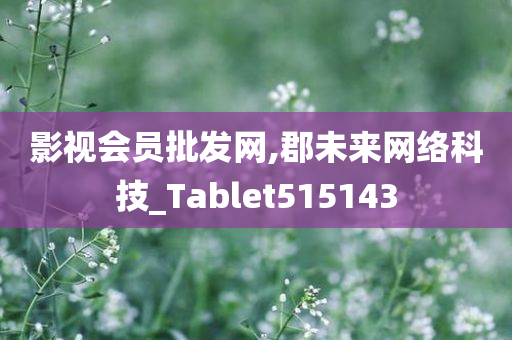 影视会员批发网,郡未来网络科技_Tablet515143