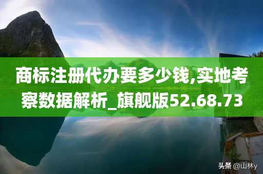 商标注册代办要多少钱,实地考察数据解析_旗舰版52.68.73