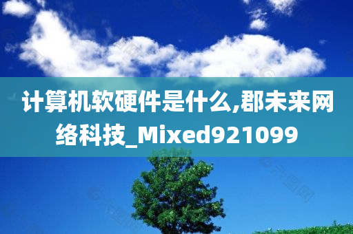 计算机软硬件是什么,郡未来网络科技_Mixed921099