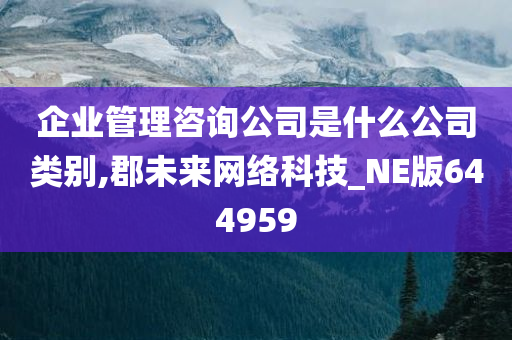 企业管理咨询公司是什么公司类别,郡未来网络科技_NE版644959