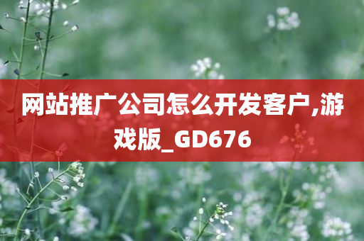 网站推广公司怎么开发客户,游戏版_GD676