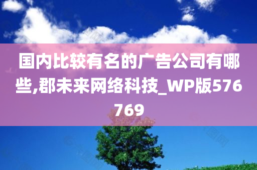 国内比较有名的广告公司有哪些,郡未来网络科技_WP版576769