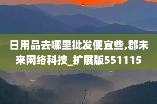 日用品去哪里批发便宜些,郡未来网络科技_扩展版551115