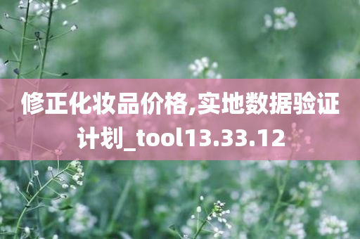 修正化妆品价格,实地数据验证计划_tool13.33.12