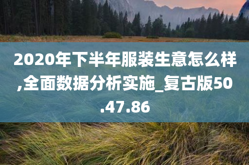 2020年下半年服装生意怎么样,全面数据分析实施_复古版50.47.86