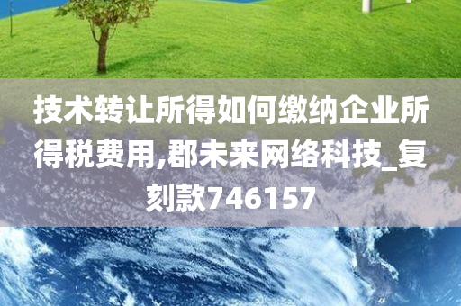 技术转让所得如何缴纳企业所得税费用,郡未来网络科技_复刻款746157