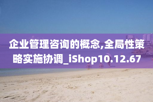 企业管理咨询的概念,全局性策略实施协调_iShop10.12.67