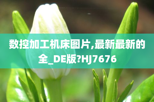 数控加工机床图片,最新最新的全_DE版?HJ7676