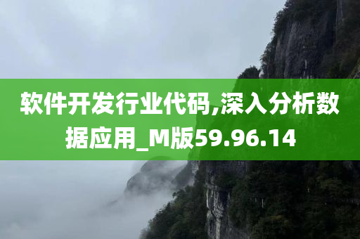 软件开发行业代码,深入分析数据应用_M版59.96.14