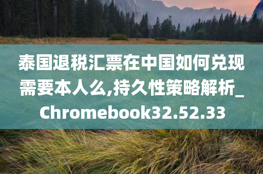 泰国退税汇票在中国如何兑现需要本人么,持久性策略解析_Chromebook32.52.33