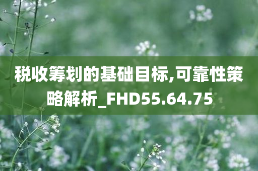 税收筹划的基础目标,可靠性策略解析_FHD55.64.75