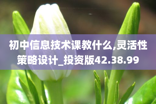 初中信息技术课教什么,灵活性策略设计_投资版42.38.99