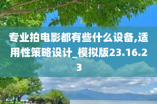 专业拍电影都有些什么设备,适用性策略设计_模拟版23.16.23