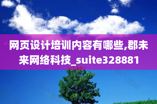 网页设计培训内容有哪些,郡未来网络科技_suite328881