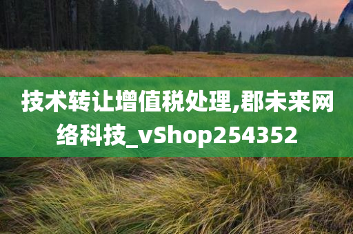 技术转让增值税处理,郡未来网络科技_vShop254352