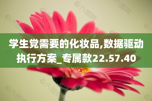 学生党需要的化妆品,数据驱动执行方案_专属款22.57.40