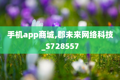 手机app商城,郡未来网络科技_S728557