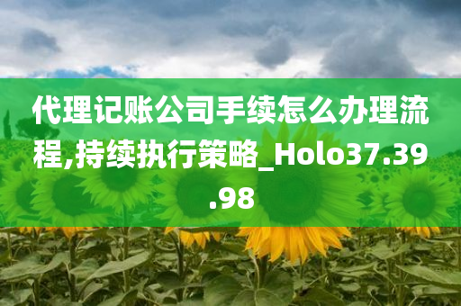 代理记账公司手续怎么办理流程,持续执行策略_Holo37.39.98