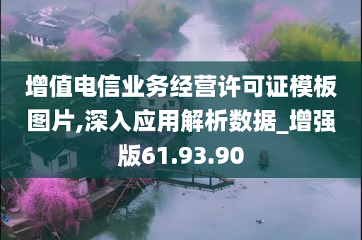 增值电信业务经营许可证模板图片,深入应用解析数据_增强版61.93.90