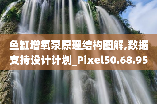 鱼缸增氧泵原理结构图解,数据支持设计计划_Pixel50.68.95