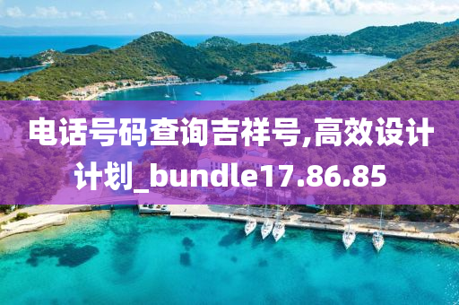 电话号码查询吉祥号,高效设计计划_bundle17.86.85