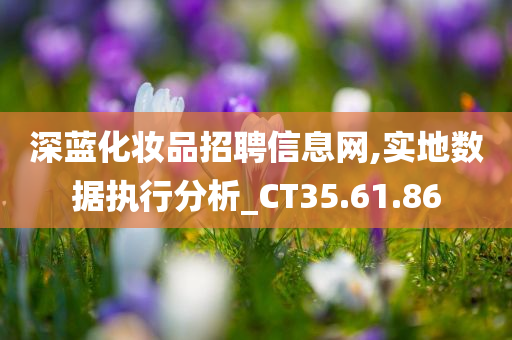 深蓝化妆品招聘信息网,实地数据执行分析_CT35.61.86