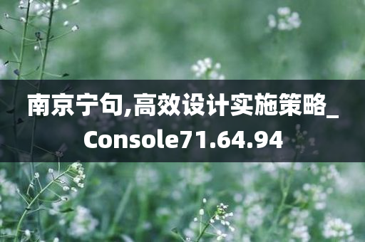 南京宁句,高效设计实施策略_Console71.64.94