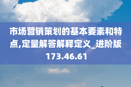 市场营销策划的基本要素和特点,定量解答解释定义_进阶版173.46.61