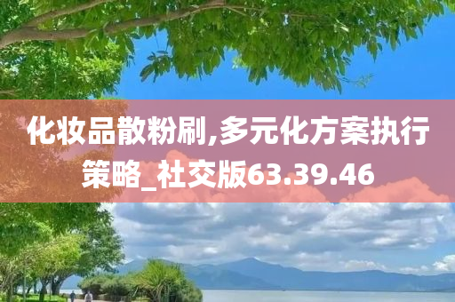 化妆品散粉刷,多元化方案执行策略_社交版63.39.46