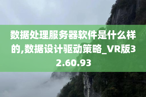 数据处理服务器软件是什么样的,数据设计驱动策略_VR版32.60.93