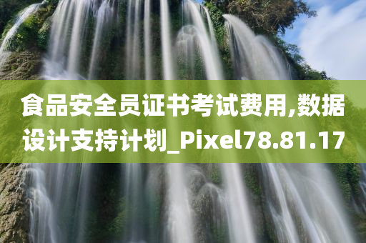 食品安全员证书考试费用,数据设计支持计划_Pixel78.81.17