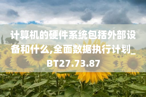 计算机的硬件系统包括外部设备和什么,全面数据执行计划_BT27.73.87