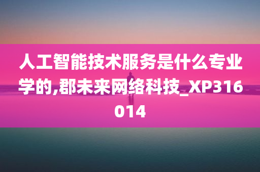 人工智能技术服务是什么专业学的,郡未来网络科技_XP316014