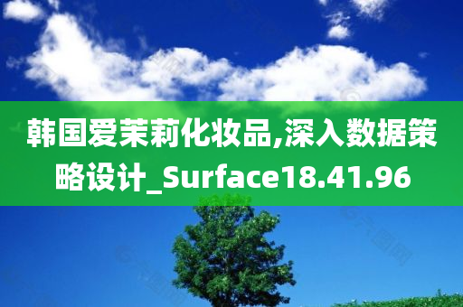 韩国爱茉莉化妆品,深入数据策略设计_Surface18.41.96