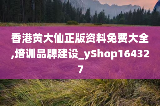 香港黄大仙正版资料免费大全,培训品牌建设_yShop164327