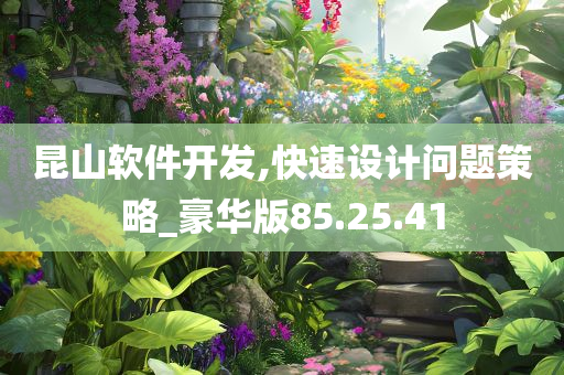 昆山软件开发,快速设计问题策略_豪华版85.25.41