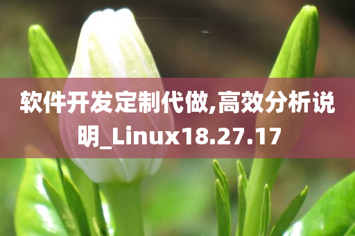 软件开发定制代做,高效分析说明_Linux18.27.17