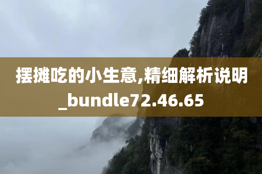 摆摊吃的小生意,精细解析说明_bundle72.46.65