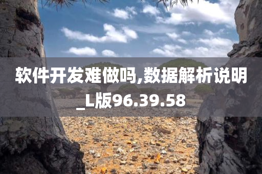 软件开发难做吗,数据解析说明_L版96.39.58