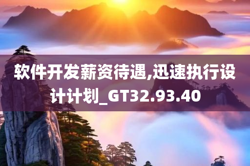 软件开发薪资待遇,迅速执行设计计划_GT32.93.40