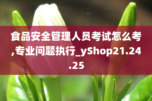 食品安全管理人员考试怎么考,专业问题执行_yShop21.24.25